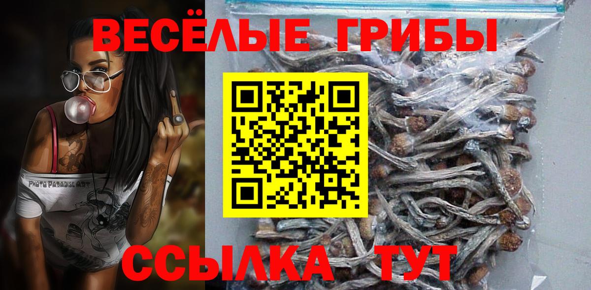 Галлюциногенные грибы Psilocybine cubensis Шебекино