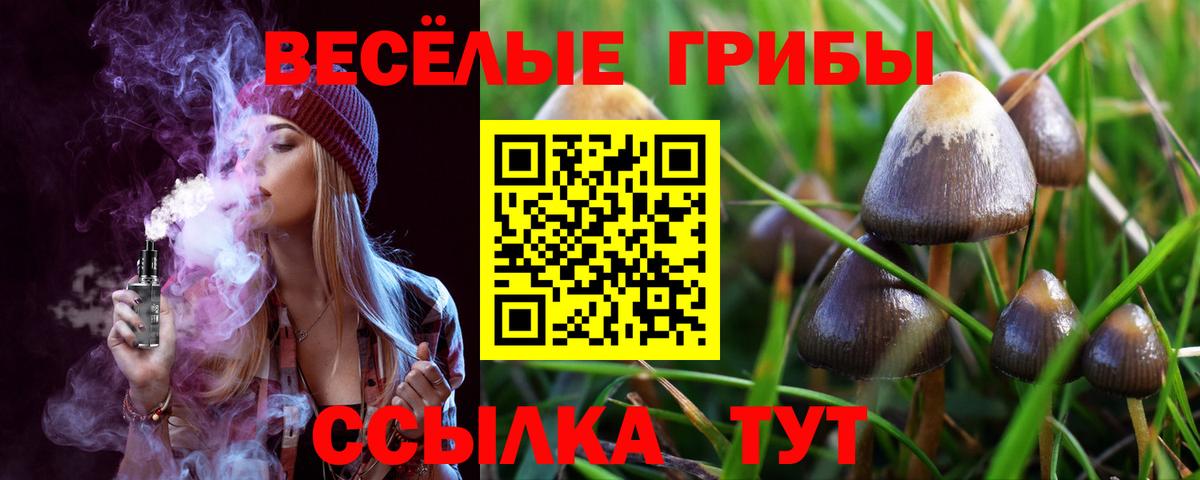 Шебекино  Галлюциногенные грибы MAGIC MUSHROOMS  Вход с VPN 