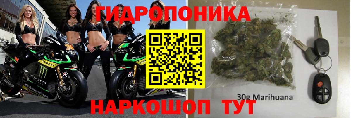 Бошки Шишки AK-47 Шебекино